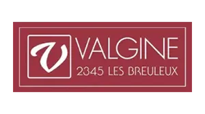 Logo Valgine